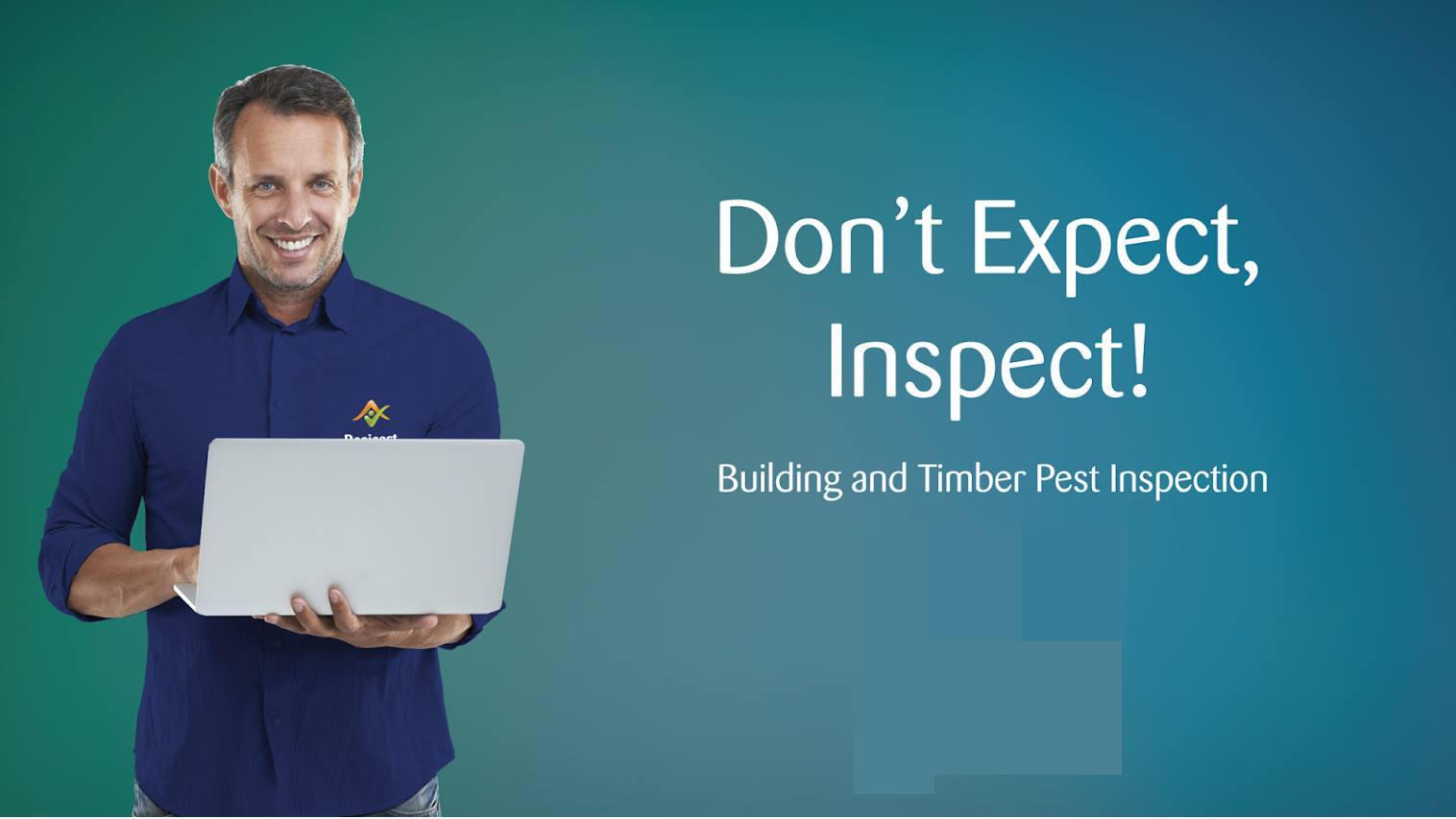 how-to-choose-building-pest-inspection-company