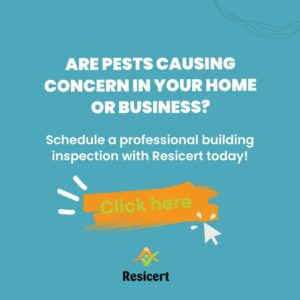 Schedule a professional building inspection with Resicert