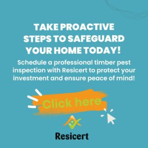 Schedule a professional timber pest inspection with Resicert to protect your investment and ensure peace of mind