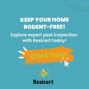 Explore expert pest inspection 
with Resicert today