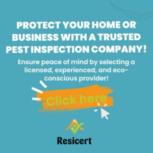 Protect your home or business with a trusted pest inspection company.